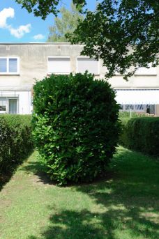 Roemerstadt-Gaerten-1088-web