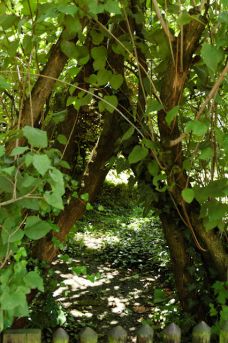 Roemerstadt-Gaerten-1095-web
