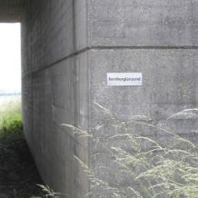 fernherglänzend